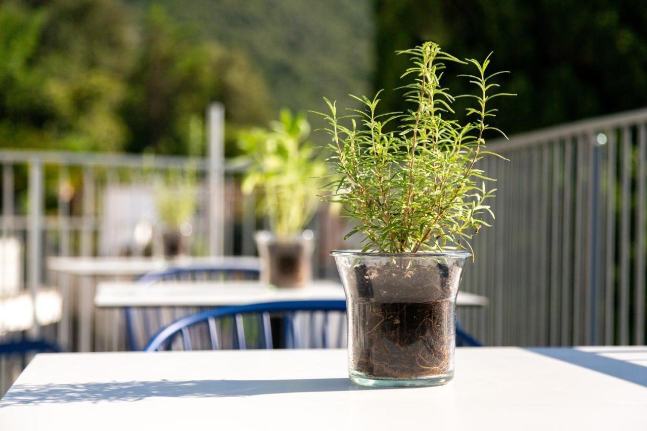 Guest house Vistalago Torbole 4*